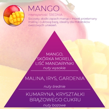 <B>MANGO</B> wkład zapachowy do EASY FRESH 2.0